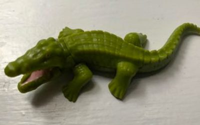 Who owns the crocodile?