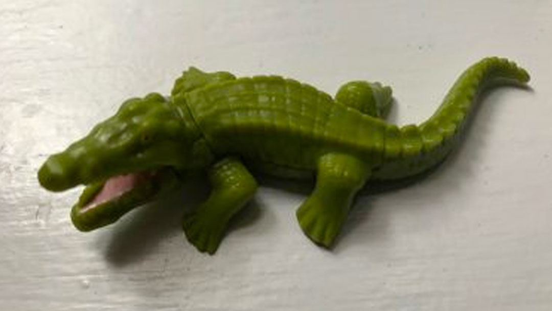Lora Starling blog Alligator LaCoste Lora Starling blog Alligator LaCoste