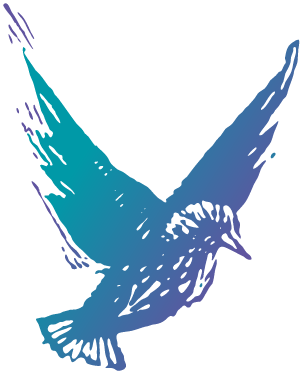 Solo Starling
