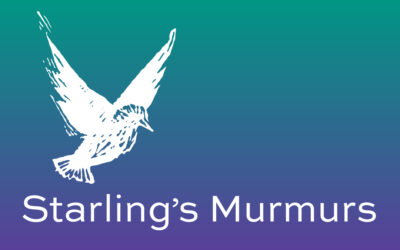 Starling’s Murmurs ‘Chat with Annie Pearson on logos’