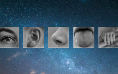 The five senses of a soul brand