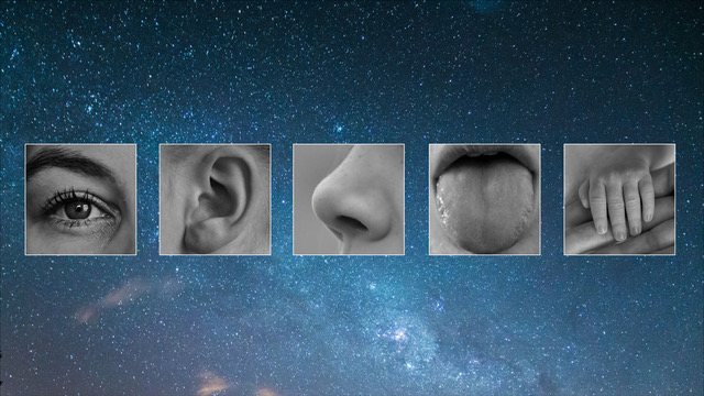 The five senses of a soul brand