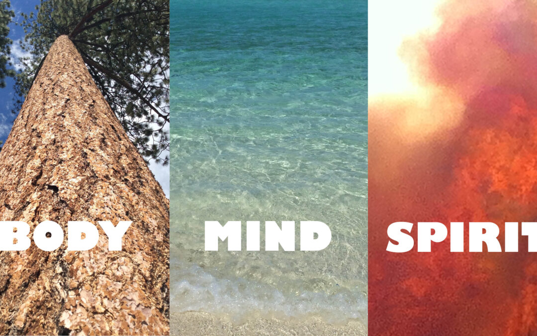 Body, Mind and Spirt of the brand