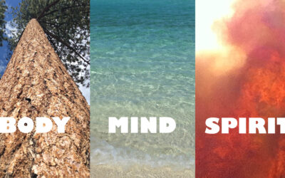 Body, Mind and Spirt of the brand